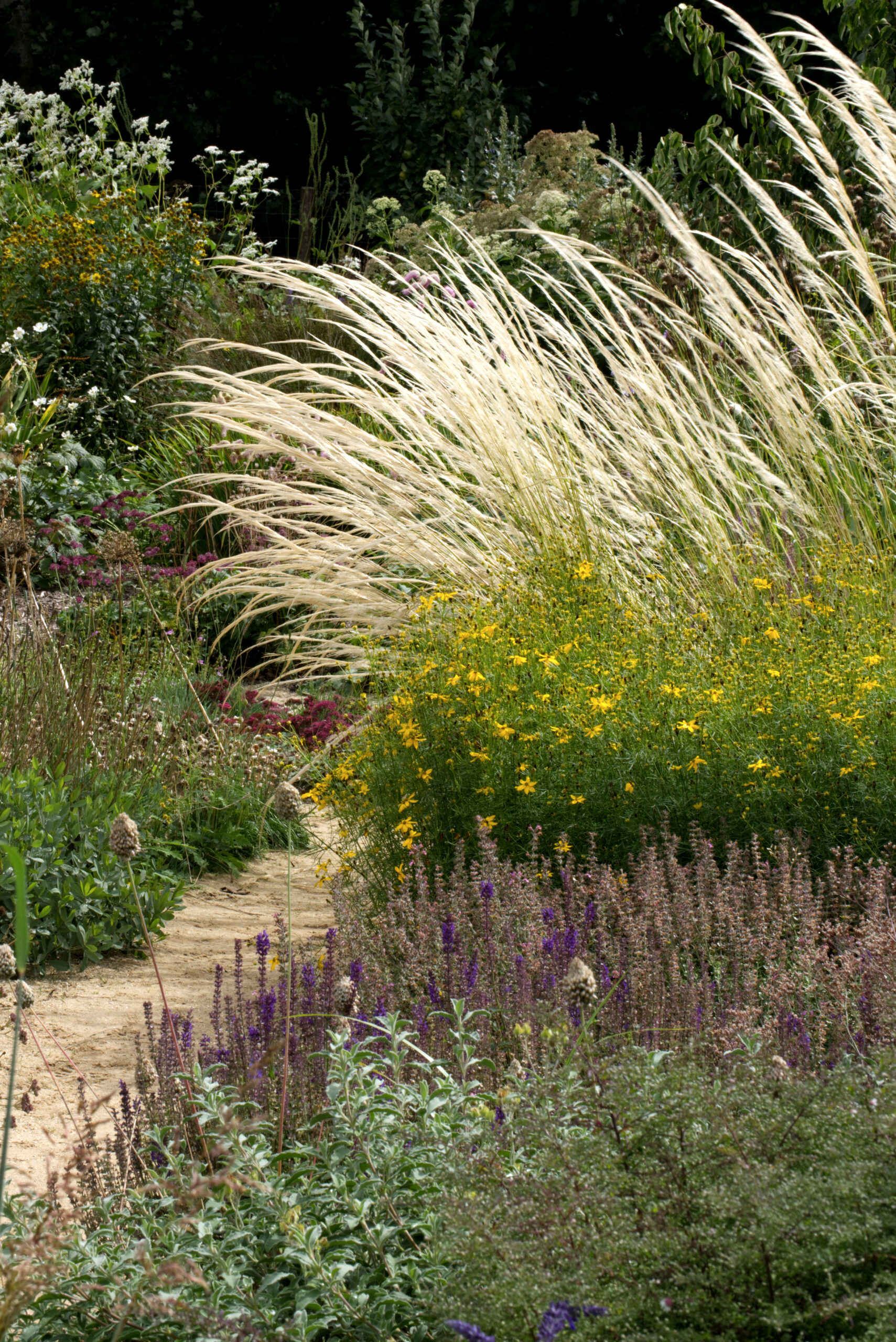 Planting Design