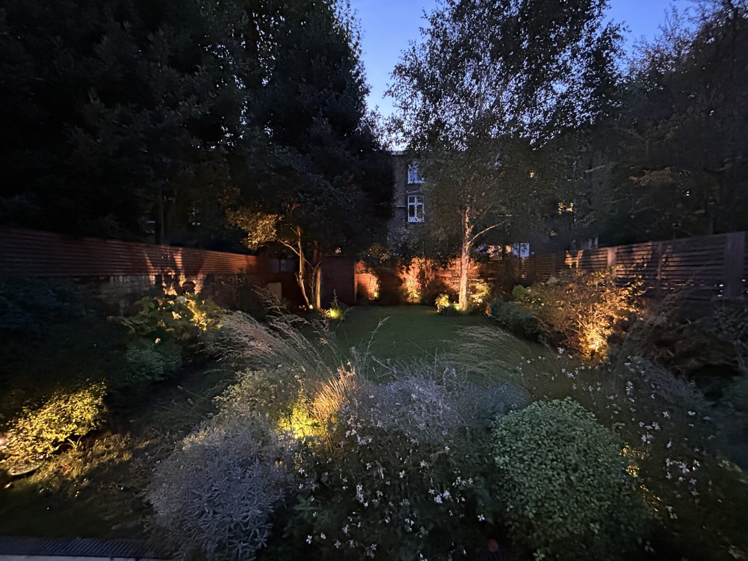 Hammersmith family garden at dusk, with warm garden lighting through layered planting