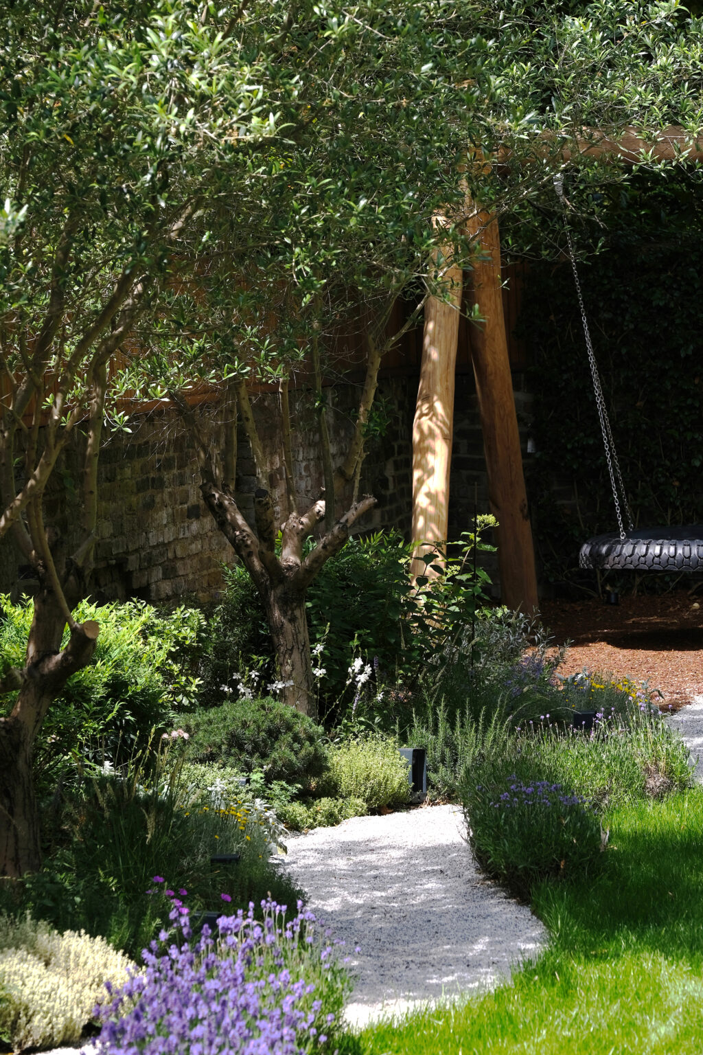Curving garden path through lavender and shade planting beneath an olive tree with a hanging swing