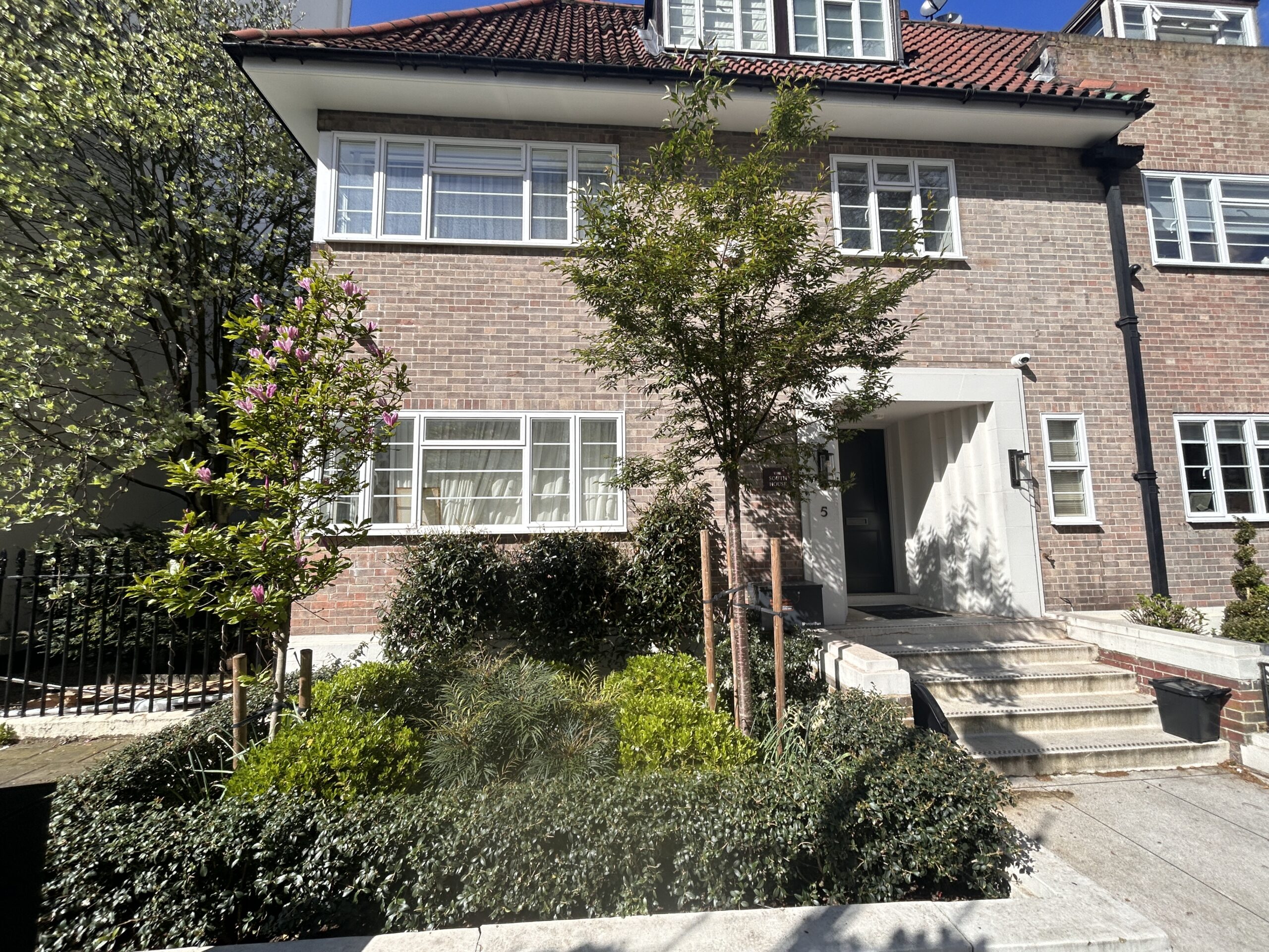 Front garden of a brick London family home, with a magnolia and a second tree framing the entrance path above evergreen planting