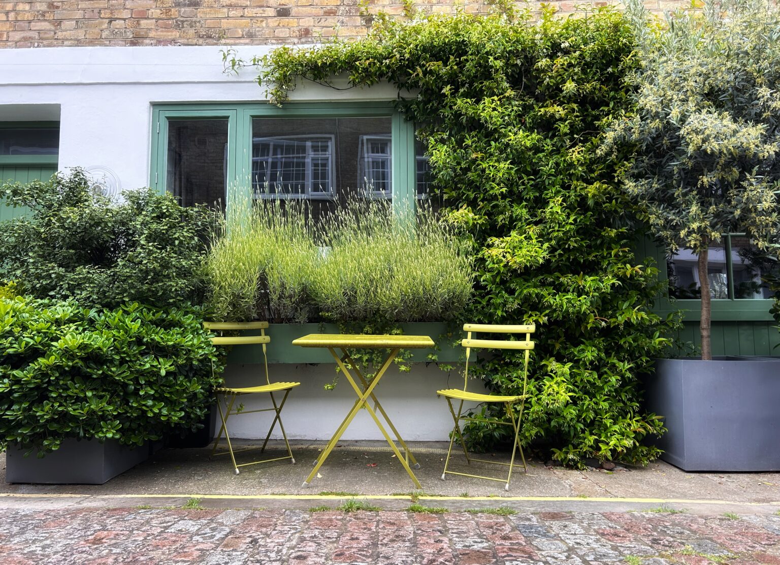 Small paved front courtyard with climbing plants, ornamental grasses in planters and a yellow bistro table